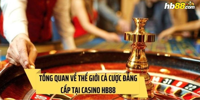 Giới thiệu chi tiết về sảnh cược casino HB88